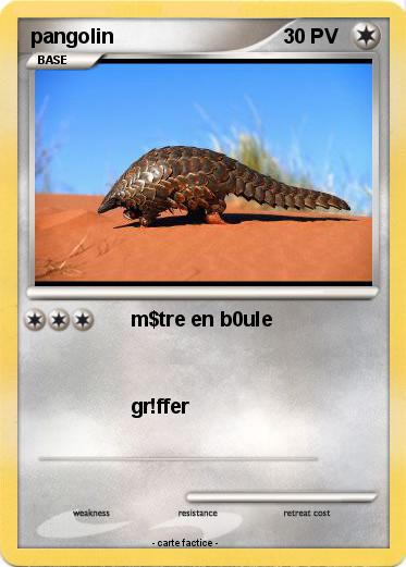Pokemon pangolin