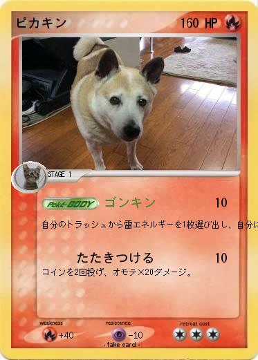 Pokemon ピカキン