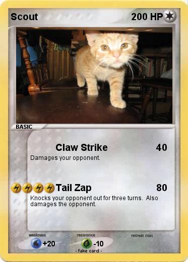 Pokemon Scout