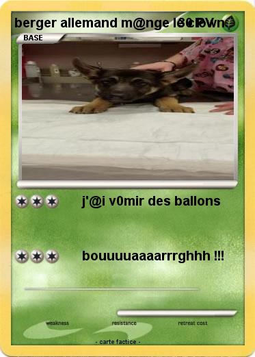 Pokemon berger allemand m@nge le clown