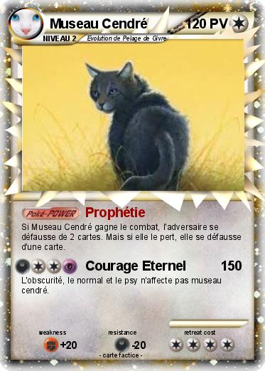 Pokemon Museau Cendré