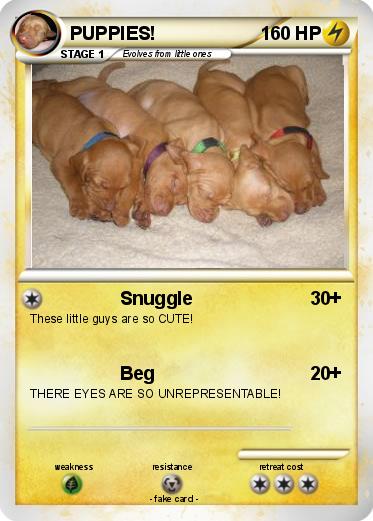 Pokemon PUPPIES!