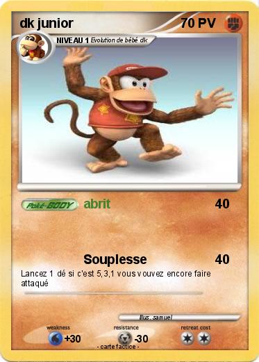 Pokemon dk junior