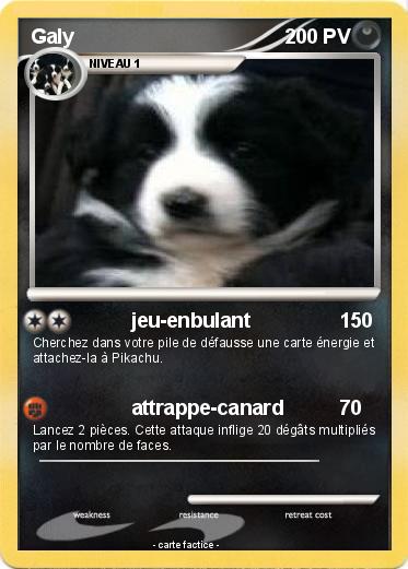 Pokemon Galy