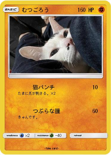 Pokemon むつごろう