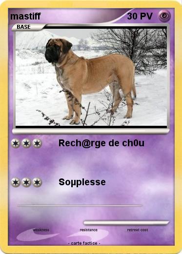 Pokemon mastiff