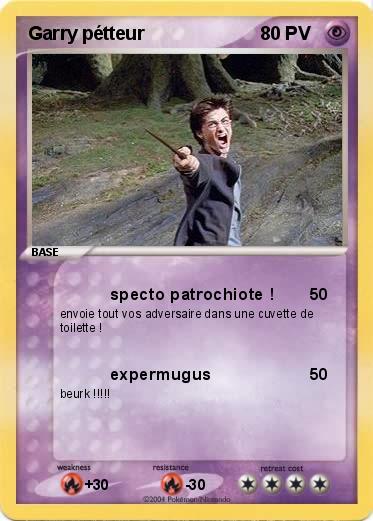 Pokemon Garry pétteur