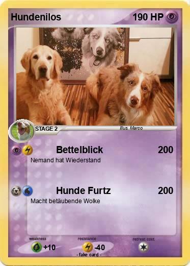 Pokemon Hundenilos