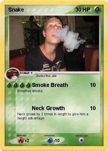 Pokemon Snake
