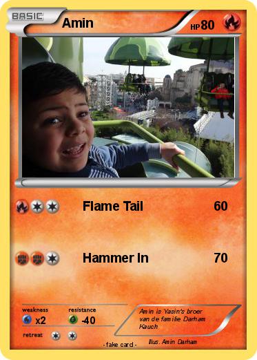 Pokemon Amin