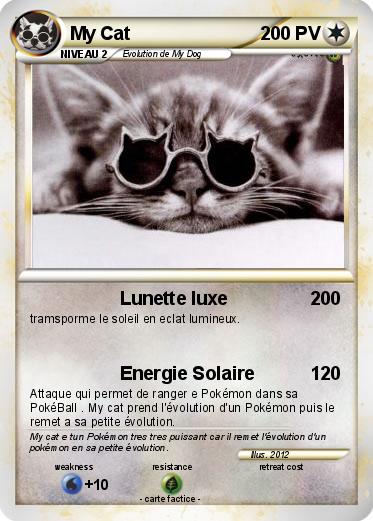 Pokemon My Cat