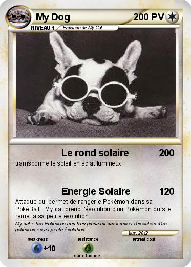 Pokemon My Dog