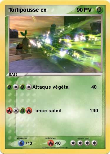 Pokemon Tortipousse ex