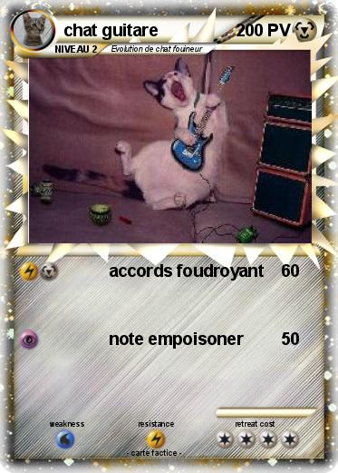 Pokemon chat guitare