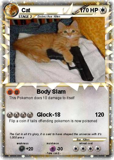 Pokemon Cat