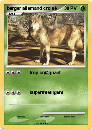 Pokemon berger allemand croisé