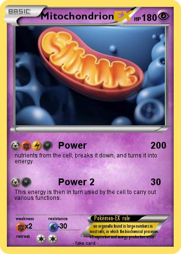 Pokemon Mitochondrion