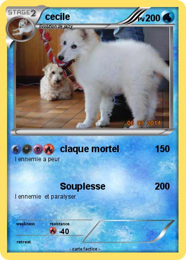 Pokemon cecile