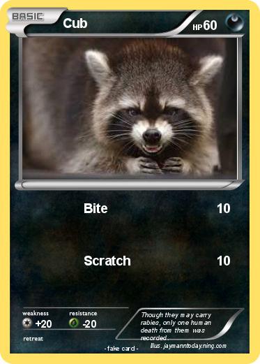 Pokemon Cub