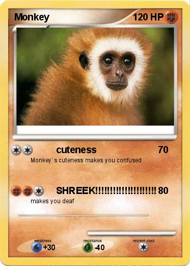 Pokemon Monkey