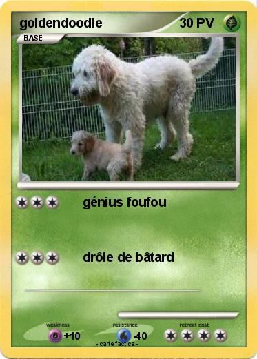 Pokemon goldendoodle