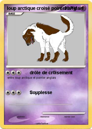 Pokemon loup arctique croisé pointer anglais