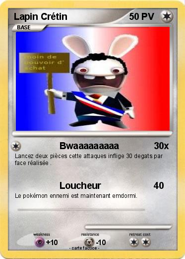 Pokemon Lapin Crétin