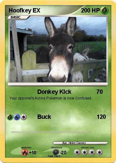Pokemon Hoofkey EX