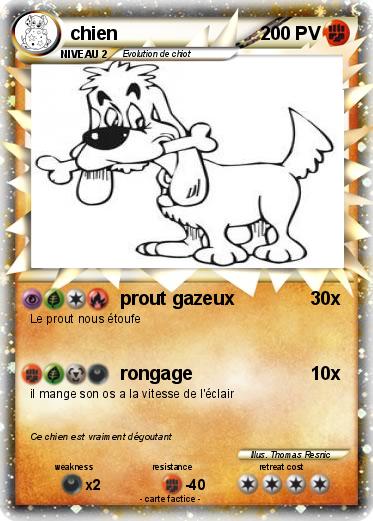 Pokemon chien