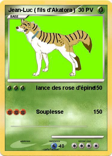 Pokemon Jean-Luc ( fils d'Akatora )