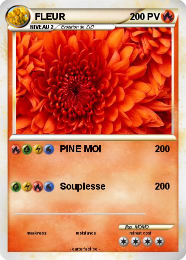 Pokemon FLEUR