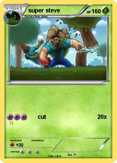 Pokemon super steve