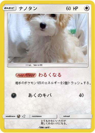 Pokemon ナノタン