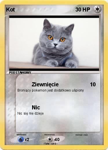 Pokemon Kot
