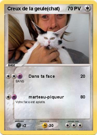 Pokemon Creux de la geule(chat)
