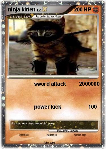 Pokemon ninja kitten