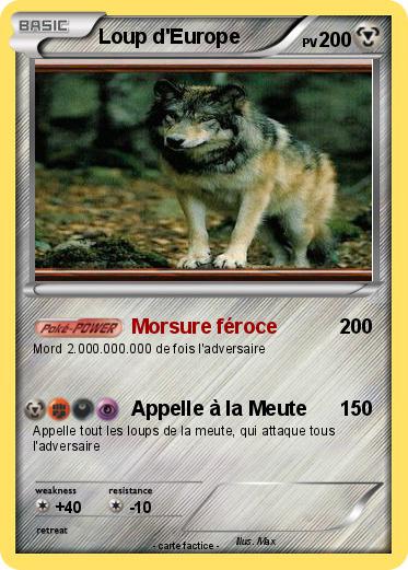 Pokemon Loup d'Europe