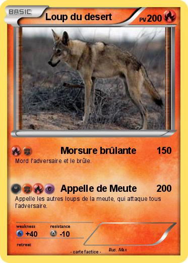 Pokemon Loup du desert