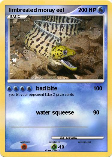 Pokemon fimbreated moray eel