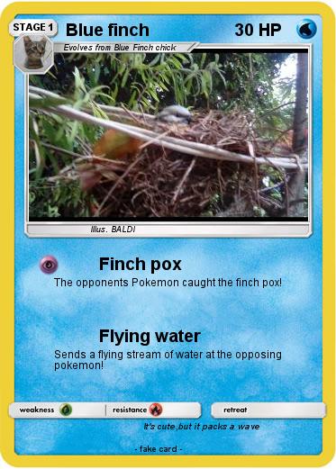 Pokemon Blue finch