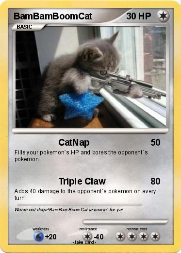 Pokemon BamBamBoomCat