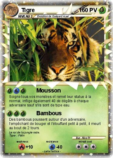 Pokemon Tigre