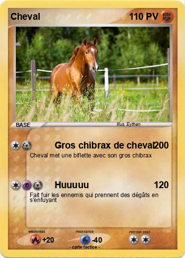 Pokemon Cheval