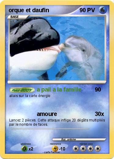 Pokemon orque et daufin