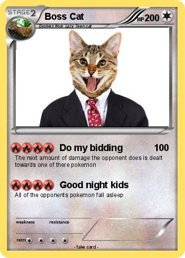 Pokemon Boss Cat