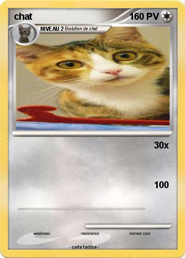 Pokemon chat