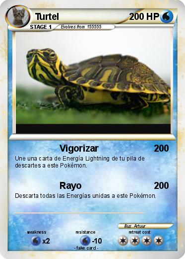 Pokemon Turtel