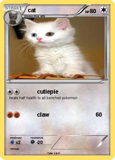 Pokemon cat