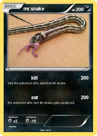 Pokemon mr.snake