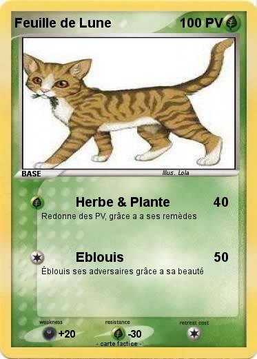 Pokemon Feuille de Lune